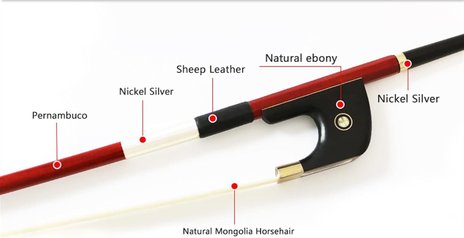 TSTS 4/4 Size Bass Bow Pernambuco Stick Natural Horsehair Ebony Frog Full Size Violin Bow