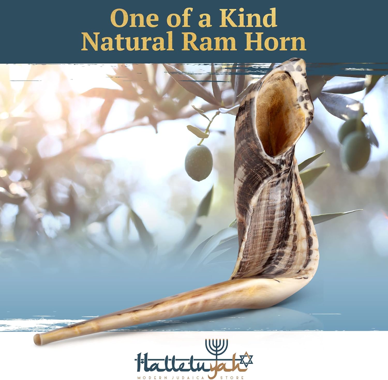 HalleluYAH Shofar From Israel: 20