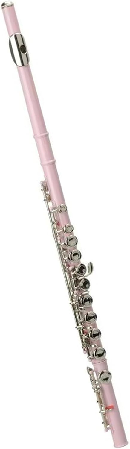 Professional Flute Instrument Cupronickel C 16 Closed Hole Wind Flute