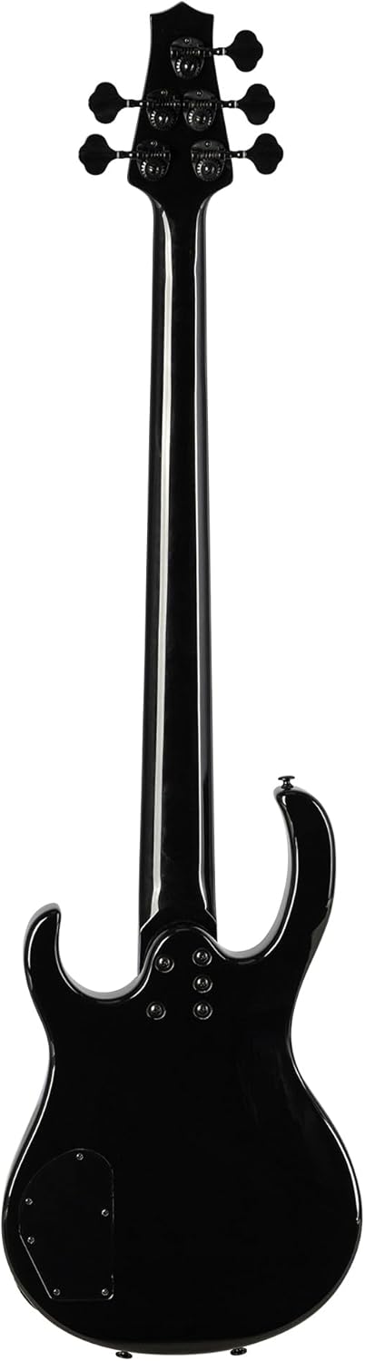 H. Jimenez 5 String Glossy Black Bass Guitar With Deluxe Padded Gig Bag (LBS5-BK)