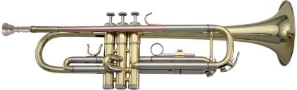 Bb Trumpet with Plush-Lined Case