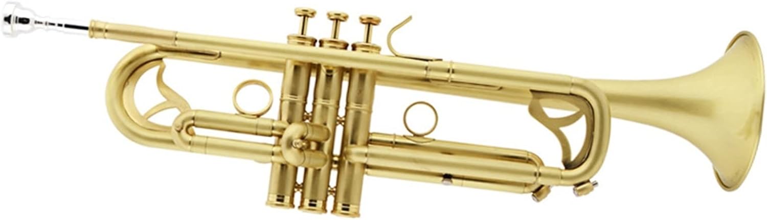 TSTS B-Flat Trumpet Instrument Brass Body Matte Lacquered Gold Trumpet Brass Instrument Beginner Professional Trumpet