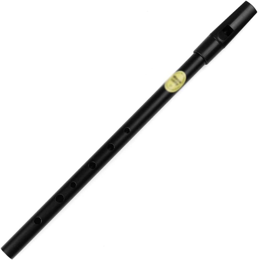 Wind Closed Hole D Key Silver Flute Instrument Whistle Woodwind(C)