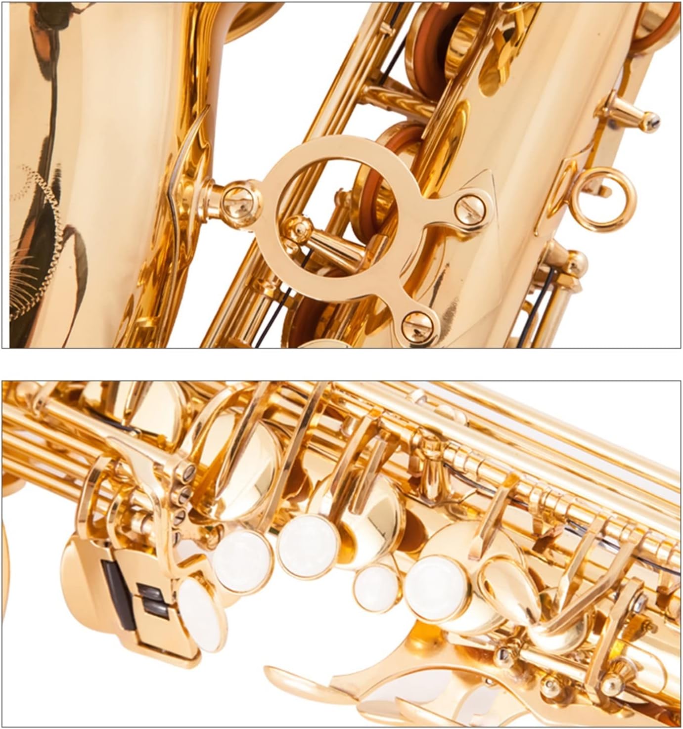 EB Alto Saxophone Brass Gold Lacquer E-Flat Sax Woodwind Instrument with Accessories