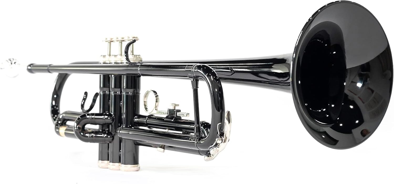 LeSage Student Trumpets Standard Bb Brass Trumpet for Beginner Black Trumpet b Flat with 7c Mouthpiece