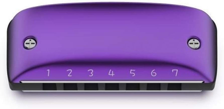 Harmonica 7 Hole Blues Harmonica Standard Minor Tuning Key of C D F G A Bb (Color : Minor Bb)