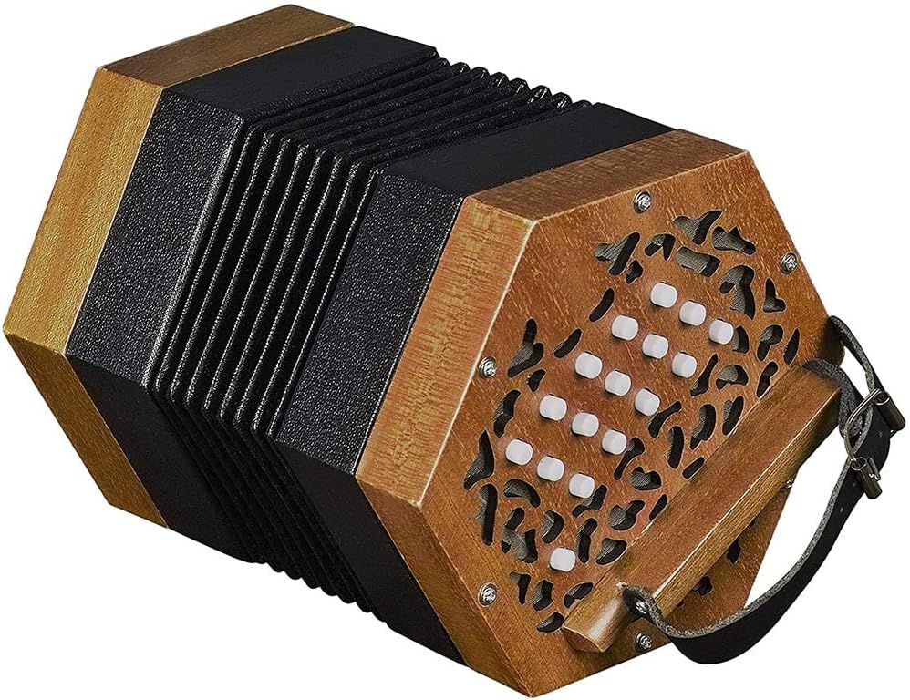 30 Buttons Accordion Concertina, Entry Level Keyboard Instrument, Fascinating Softer Sound, for Children Friends, with Carry Bag