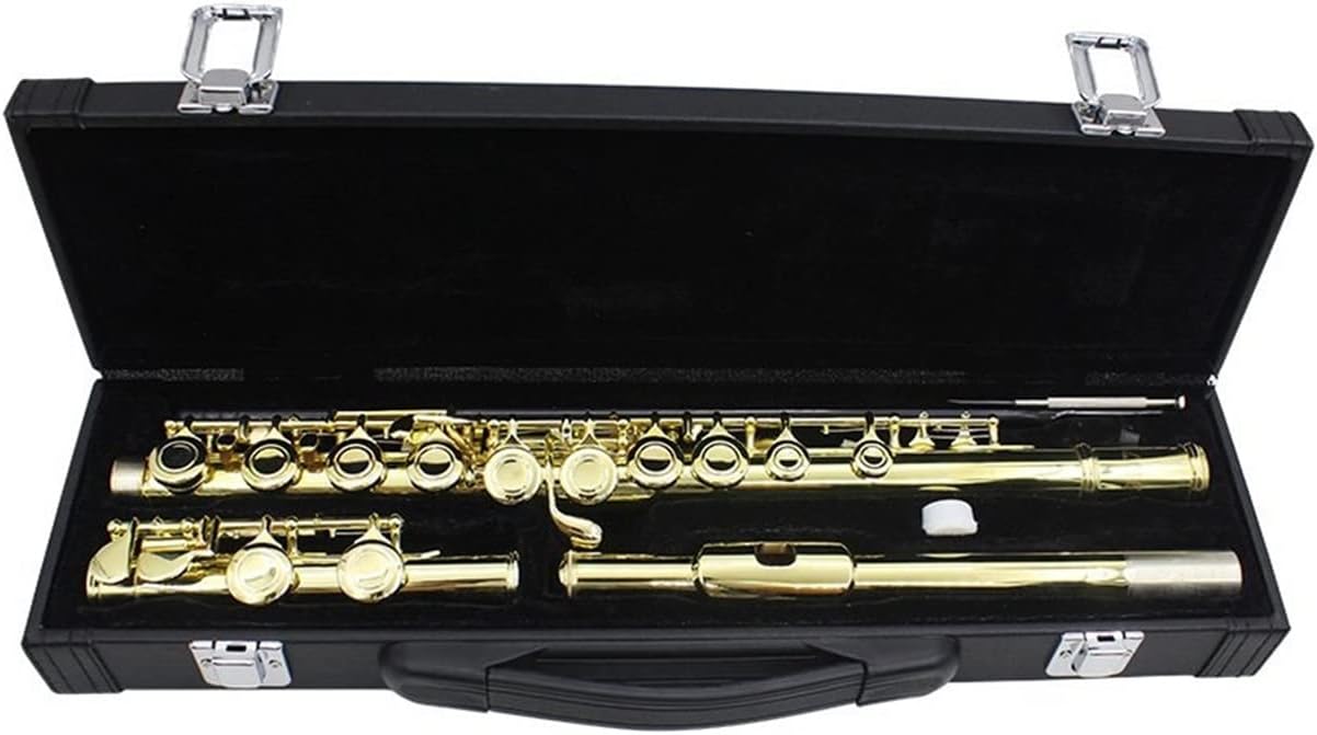 Golden 16 Holes C Tone Flute with E Key Woodwind Instrument Closed Hole Gold-Plated Keys with Case Flutes