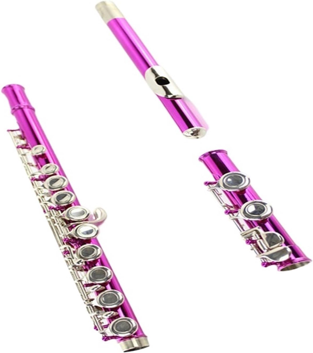 Wind Instrument Colored Flute 16 Closed Hole C B Tail E Key Pink Nickel Key