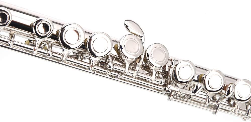 Closed Hole Flutes C 16 Key with E Key kit for Beginner, Kids, Student,Cupronickel Flute with Joint Grease,Cleaning Rod, Carrying Case