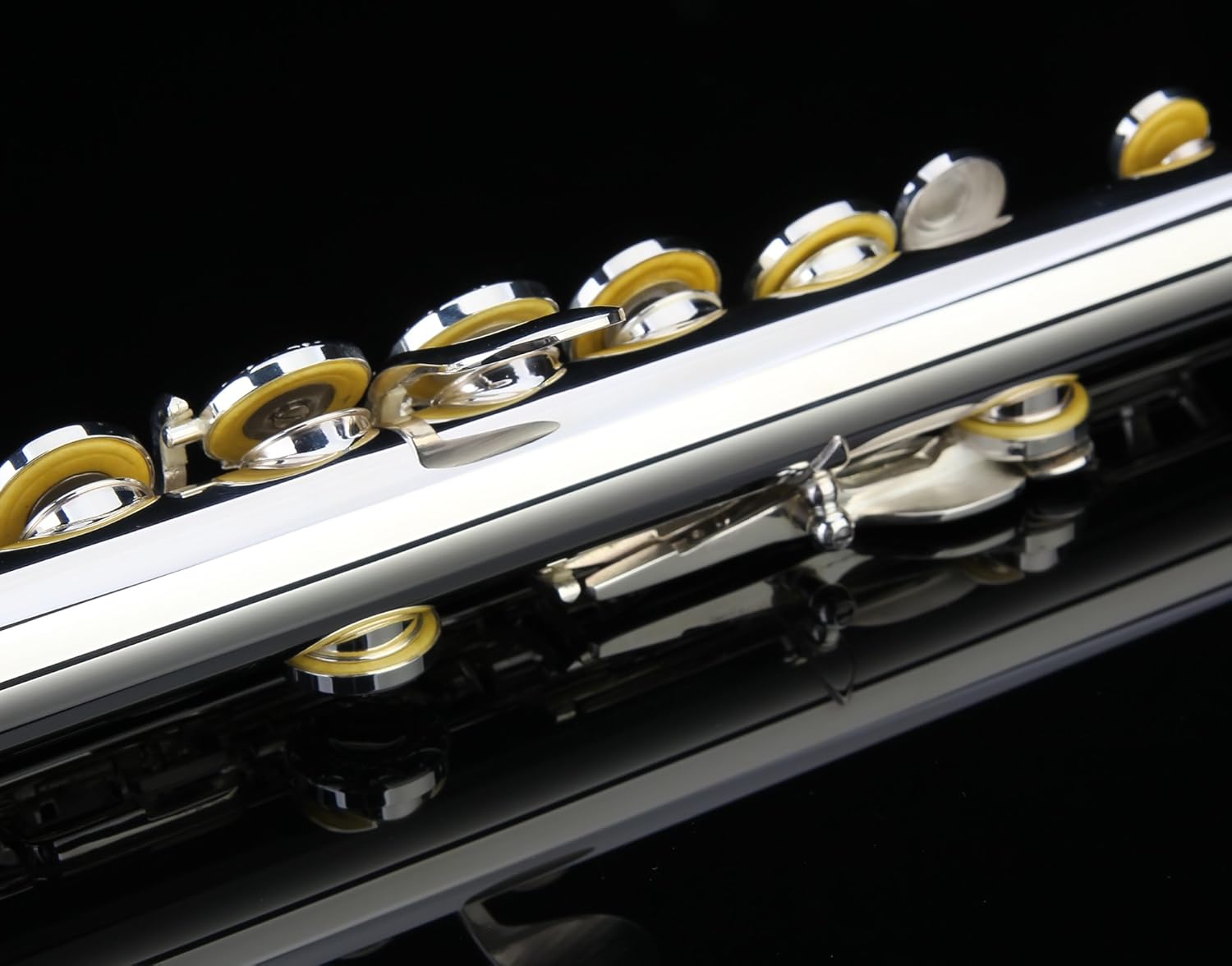 Glory HAND-ENGRAVED SILVER PLATED HIGH GRADE FLUTE 17 Hole OPEN/CLOSED C Flute With Case, Tuning Rod and Cloth and Gloves,HIGH GRADE HAND ENGRAVED