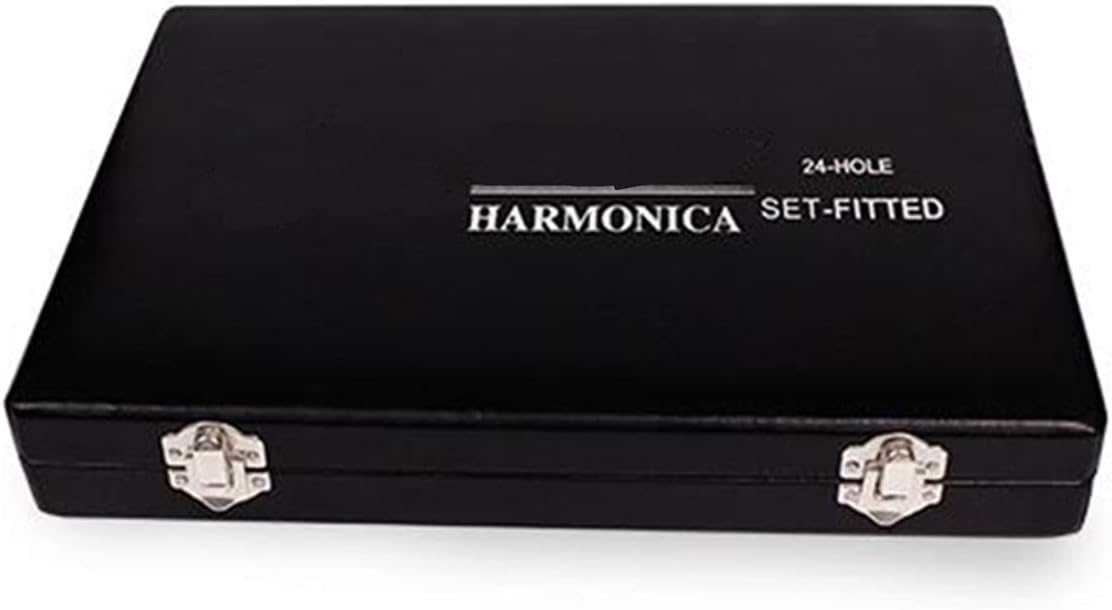 SUOFEILAIMU 12Pcs/Set Harmonica 24 Hole 12- Tune Set Packing Sliver Color Tremolo Harp with Gift Box Mouth Organ for Collect
