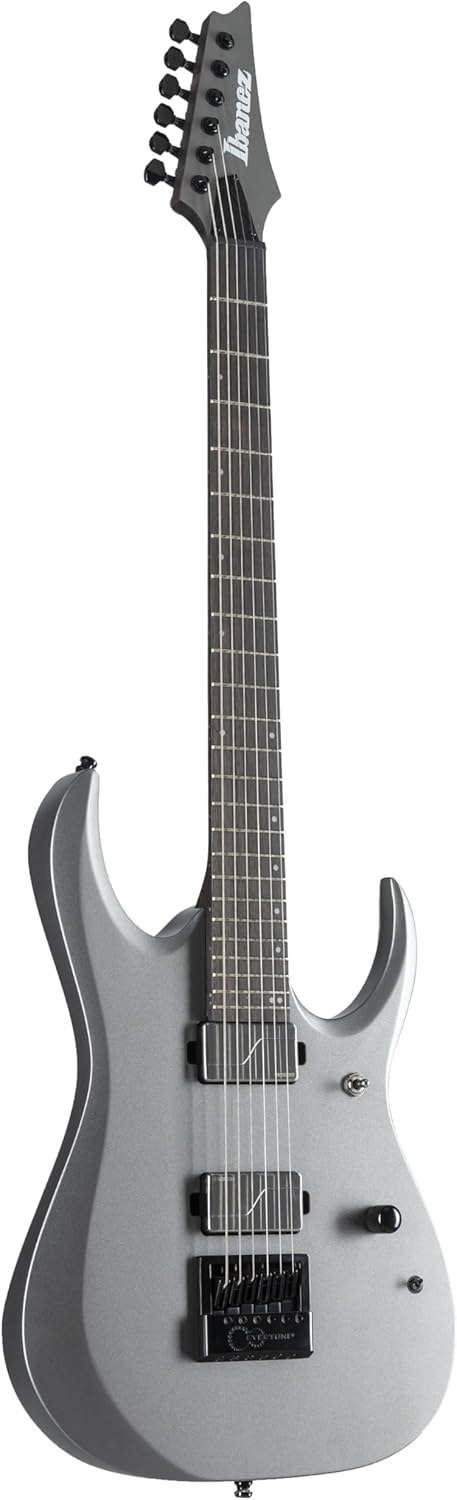 Ibanez Axion Label RGD61ALET - Metallic Gray Matte