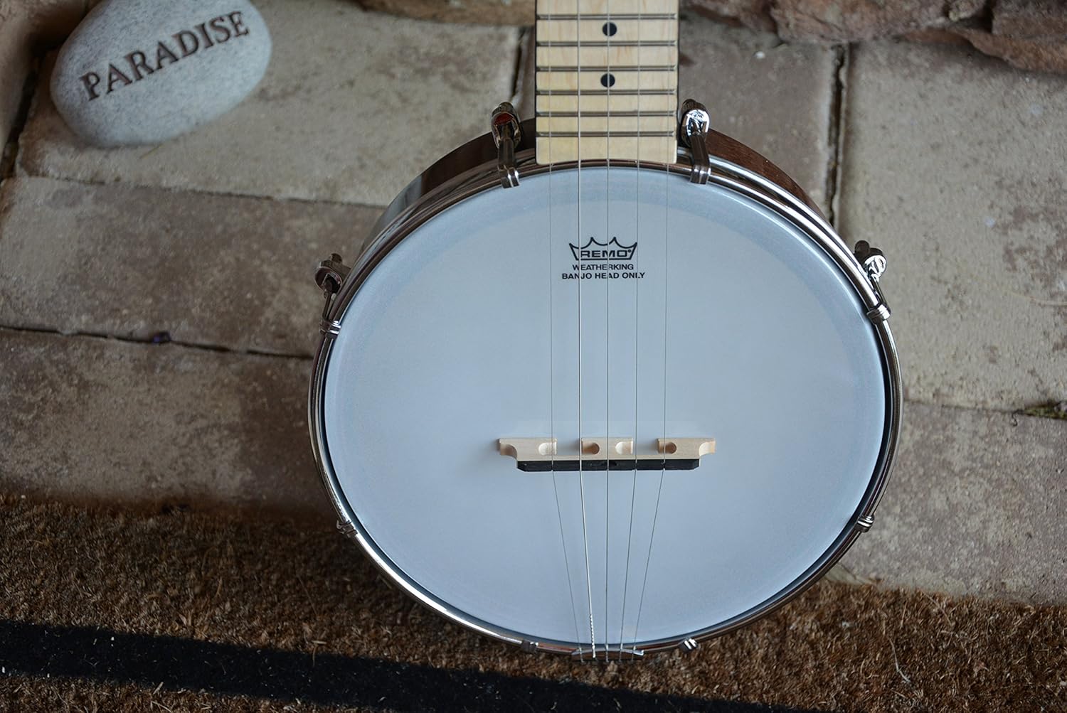 Gold Tone 5-String Travel Banjo w/Gig Bag
