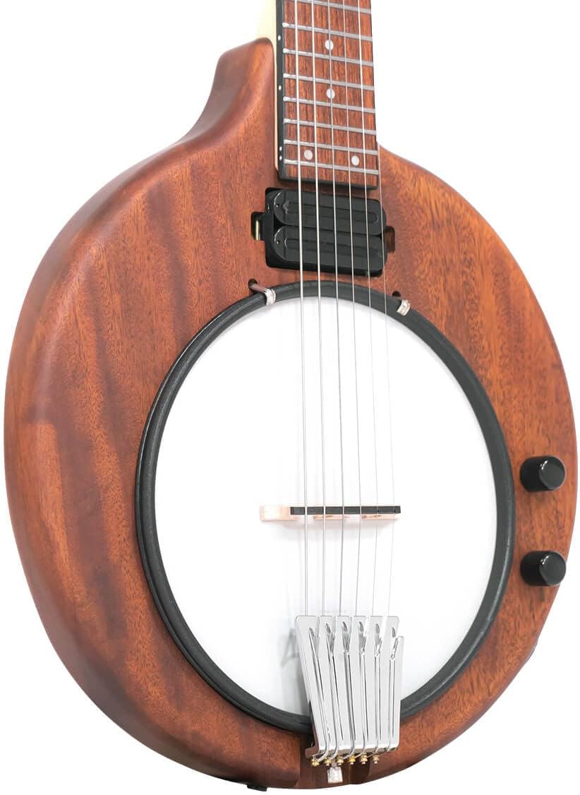 Gold Tone EB-6 Electric Banjitar