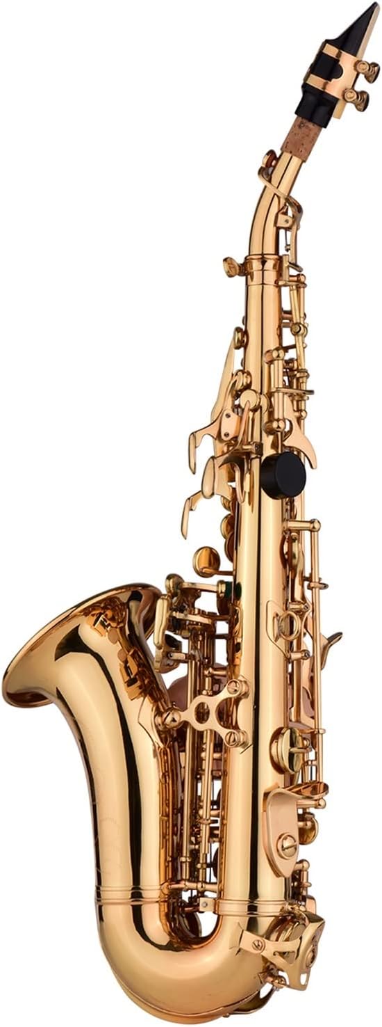 Mini Bb Saxophone Sax Brass Material Gold Lacquer Surface Woodwind Instrument with Case