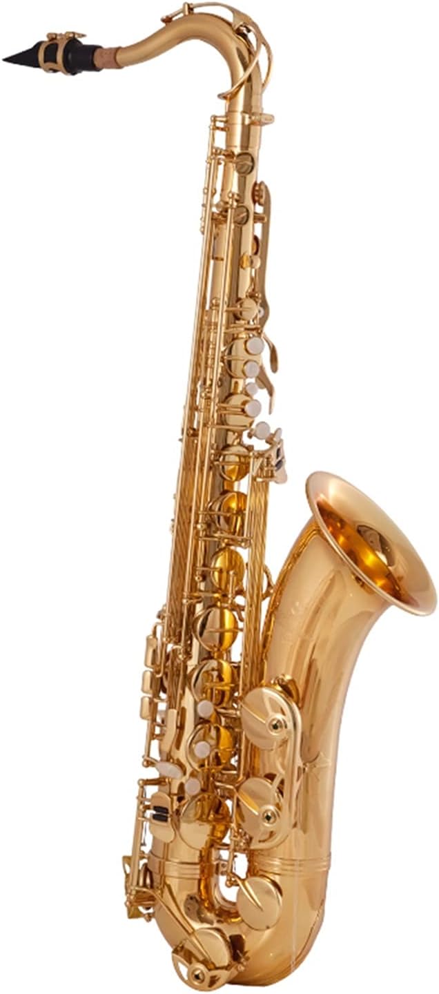 Sax Beginners Kit Japan's Popular Baritone Saxophone Gold Tone Flute Head B Key Down Professional Performance Level Wind Instrument