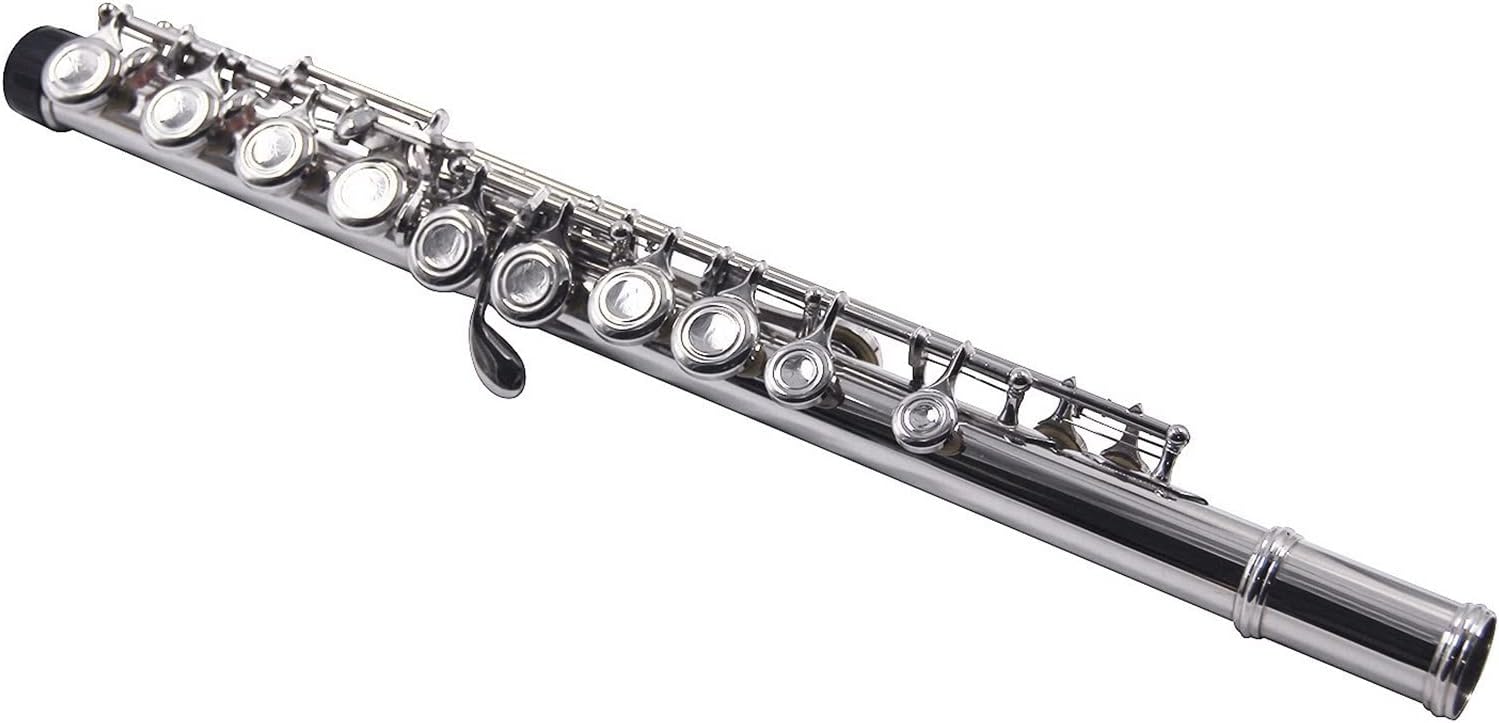 Flute Musical Instrument Closed Hole C Flute 16 Keys Cupronickel Nickel- Plated Wind Instrument with Carry Case Cleaning Cloth Gloves Starter Flute