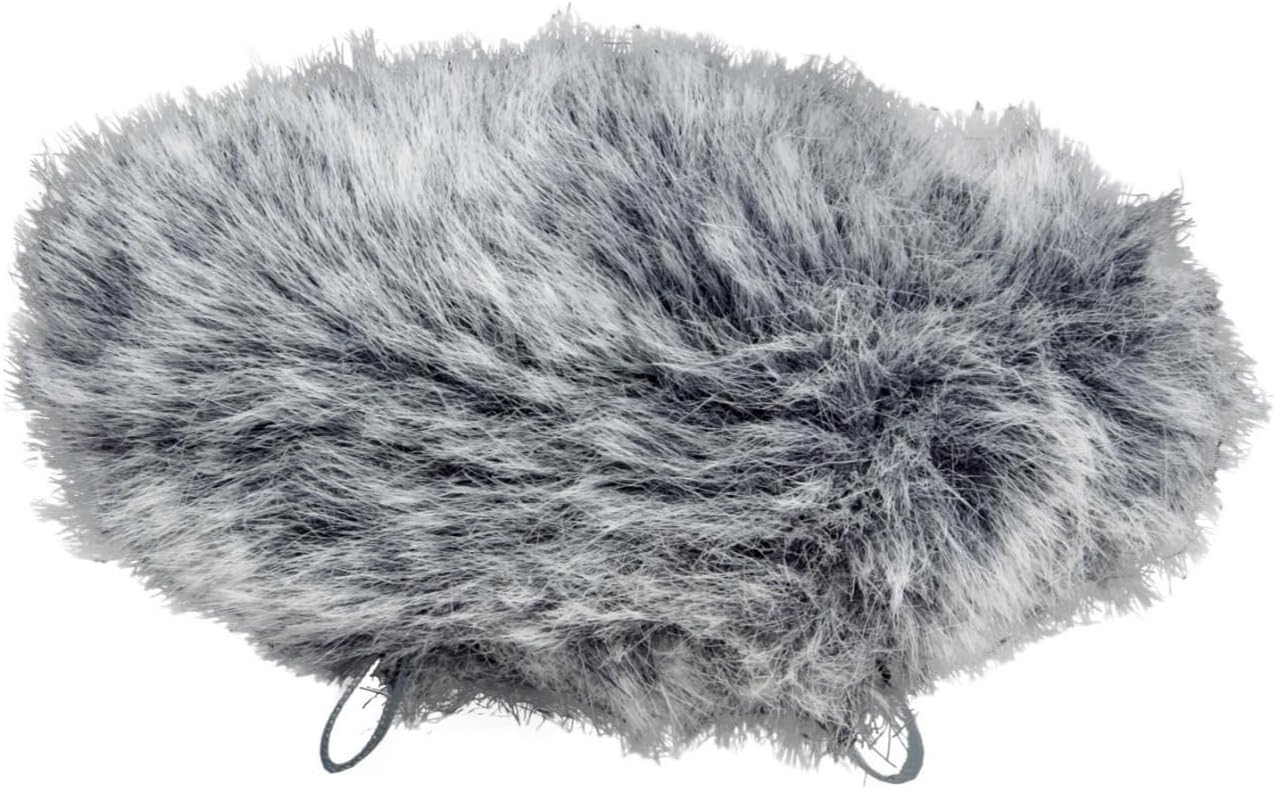 TASCAM DR-40X with Windscreen, Power Adapter and Case