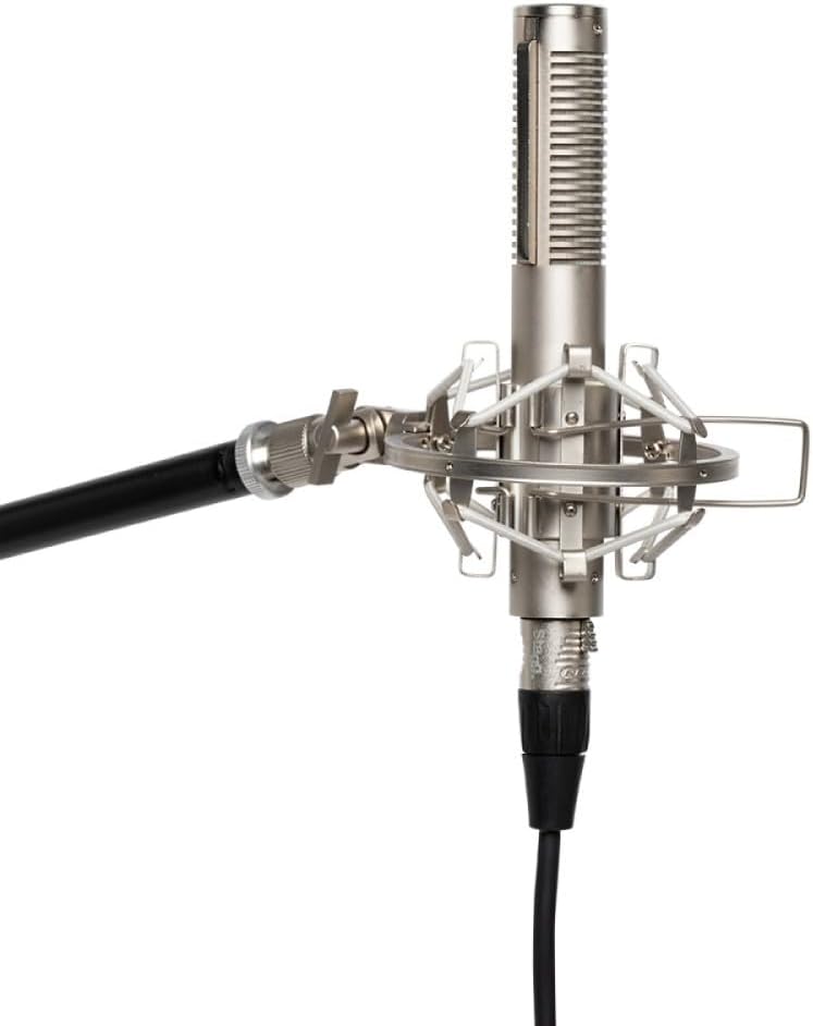 Stagg Ribbon Microphone (SRM70)