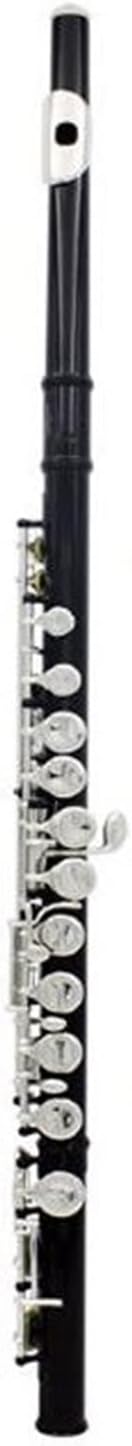 Flutes Flute Silver Plated 16 Holes C Key Cupronickel Woodwind Instrument with Case (Color : 01)