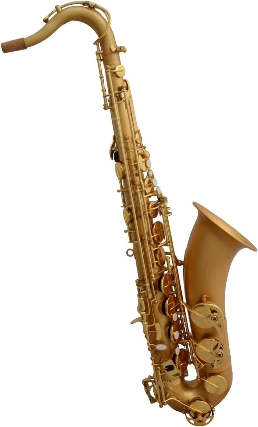 Saxophone for Beginners Musical Instrument B Flat Tenor Saxophone Woodwind Instrument Ma Jin Tenor Beginner Professional Saxophone