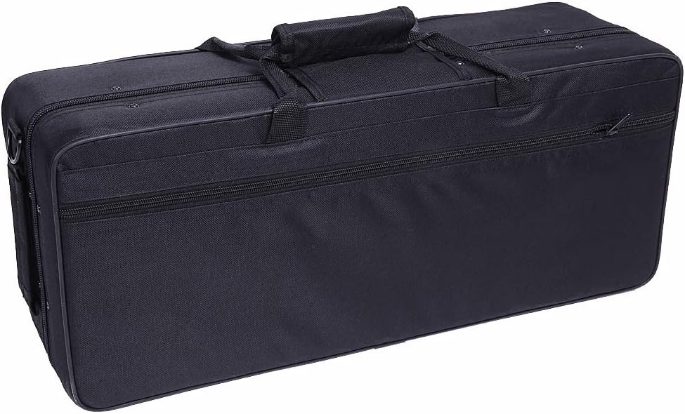 Stylish Mid-range Alto Drop E Saxophone,Professional Alto Eb SAX Saxophone, Alto Saxophone with Cushions,case,carekit (Gold)