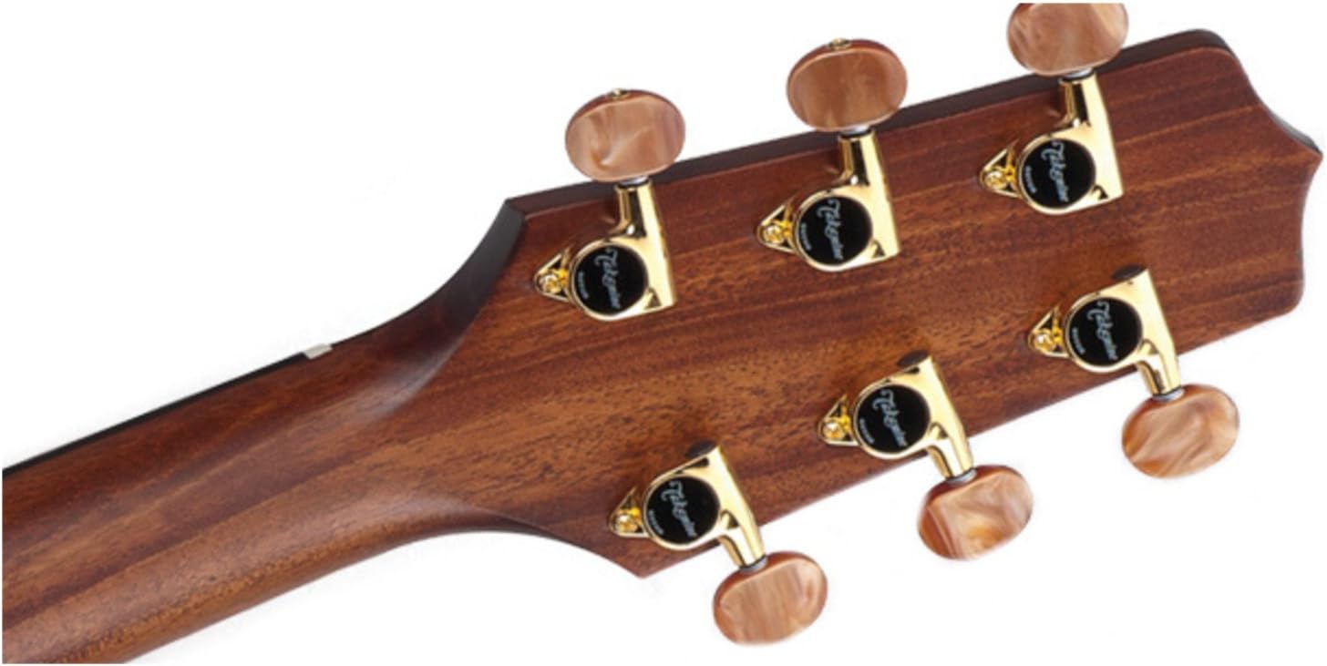 Takamine Pro Series GB7C Garth Brooks Dreadnought, Natural with Case