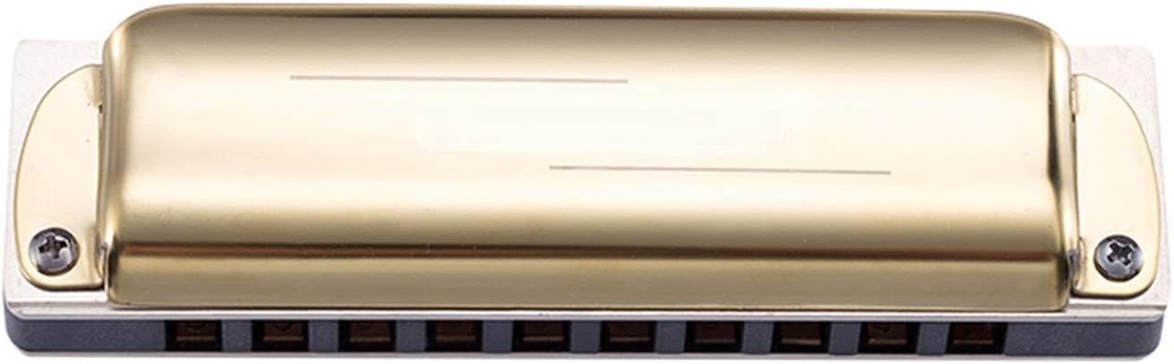 SUOFEILAIMU Diatonic 10 Holes Blues Harp Key of C/D/E/FG/A/Bb Musical Instrument Harp Golden Mouth Organ (Color : Key of B)