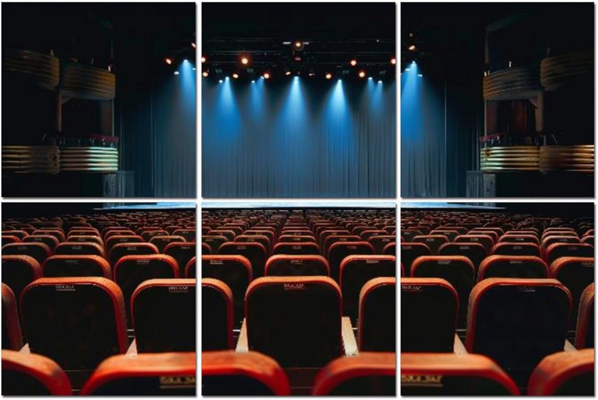 6 Pack Art Acoustic Panels empty vintage seat auditorium theater stage Soundproof Wall Panels, 48