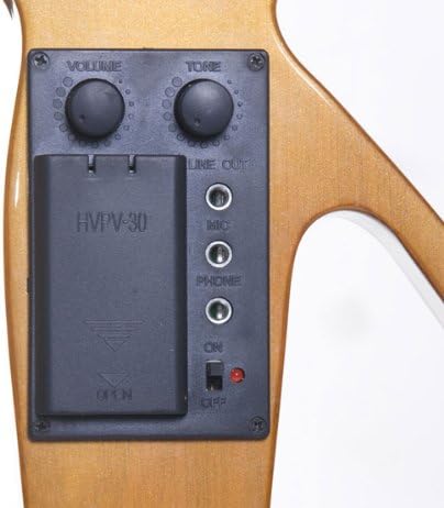 Cecilio 4/4 Full Size Electric Silent Violin, Hand-Carved Solid Maple Wood, Complete Set with Case & Ebony Fittings, Yellow Maple Metallic