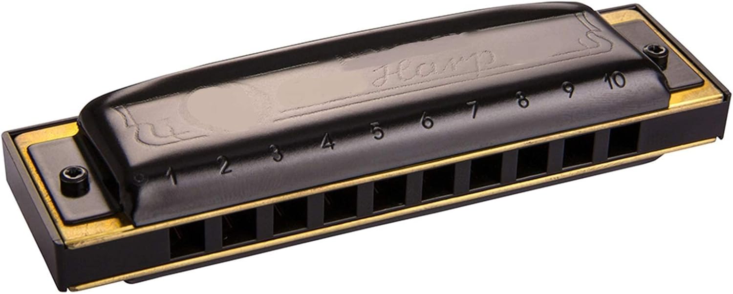 Harmonica Harp Diatonic Harmonica 10 Hole 20 Tone Mouth Organ Instrumentos Key of C Musical Instruments Blues Harp ABS Comb (Color : Key of A)