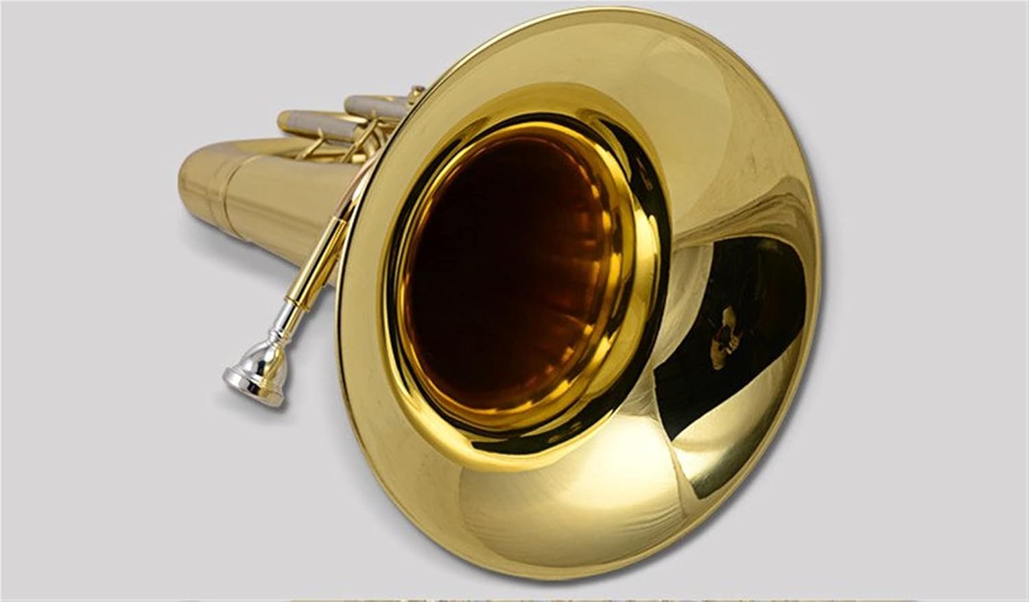 Brass Lacquered Gold Tone BB Euphonium Student Euphonium