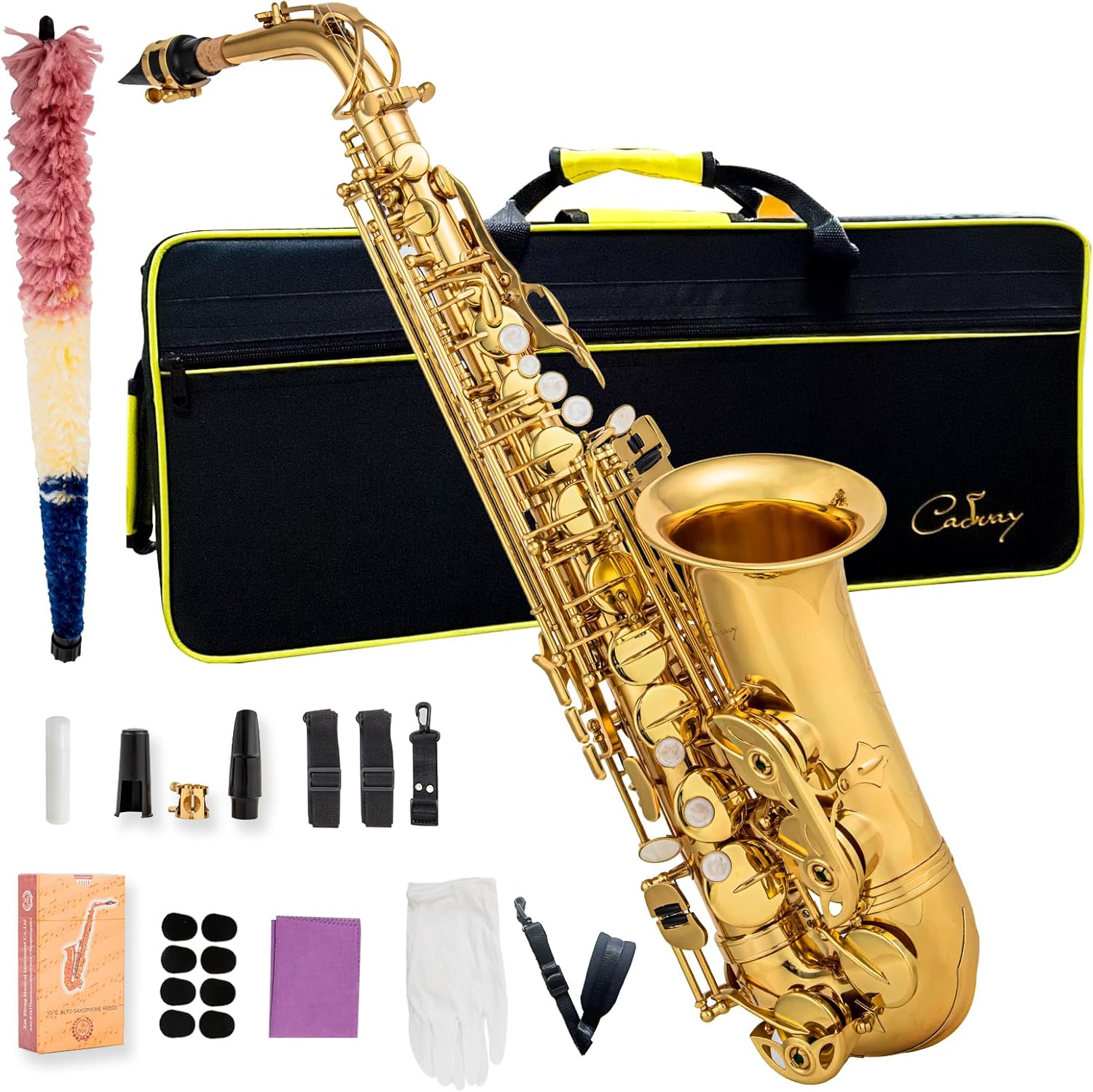 Alto Saxophone Eb beginner Saxophone includes brush canvas suitcase glove whistle piece cork plaster wipe cloth neck strap and other accessories (Gold)