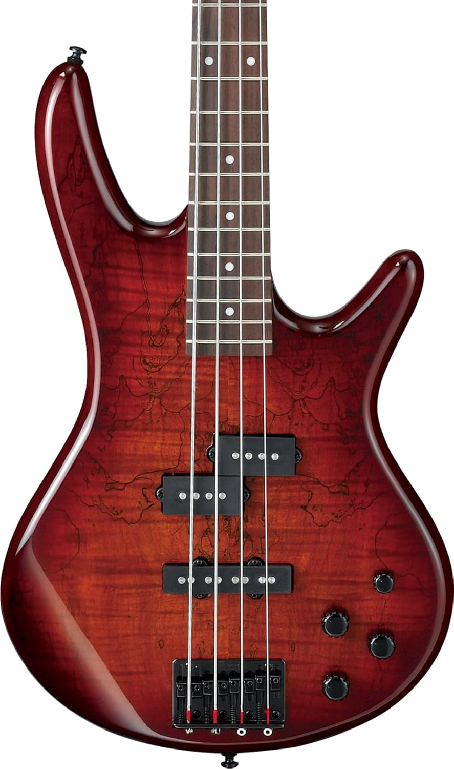 Ibanez GSR200SM SR GIO Electric Bass - Charcoal Brown Burst Bundle with Gig Bag, Strap, Cable, Austin Bazaar Instructional DVD, and Polishing Cloth