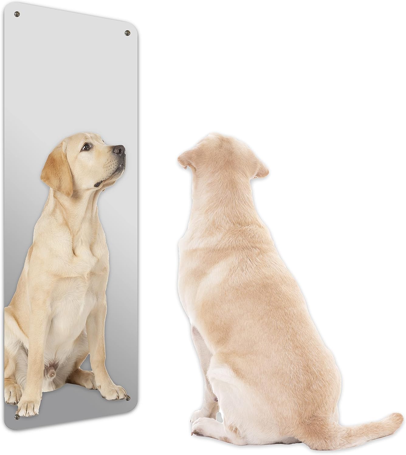 Glossy Gallery Rectangle Shatterproof Acrylic Safety Mirror with Rounded Corners and Screw Mount Set - 12in x 36in