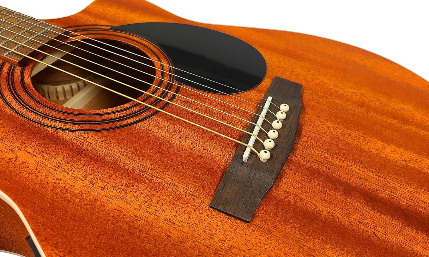 Berkeley ELEMENTARY-M-OP Concert Body Cutaway Acoustic Guitar