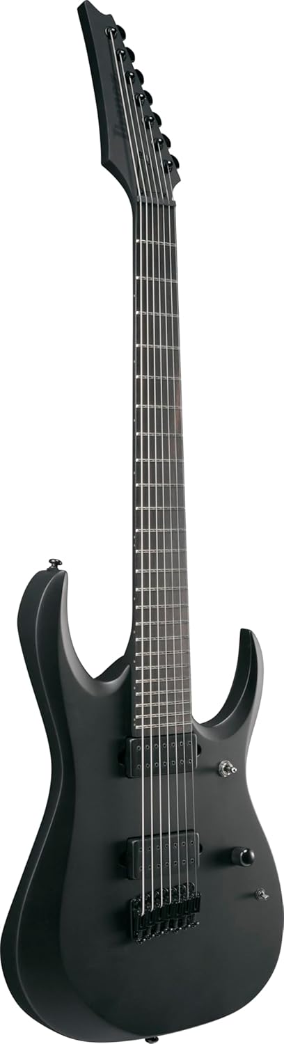 Ibanez RGDRB71 Iron Label 7-String Right-Handed Electric Guitar with Nyatoh Body, Roasted Maple Neck, and Ebony Fingerboard (Black Flat)