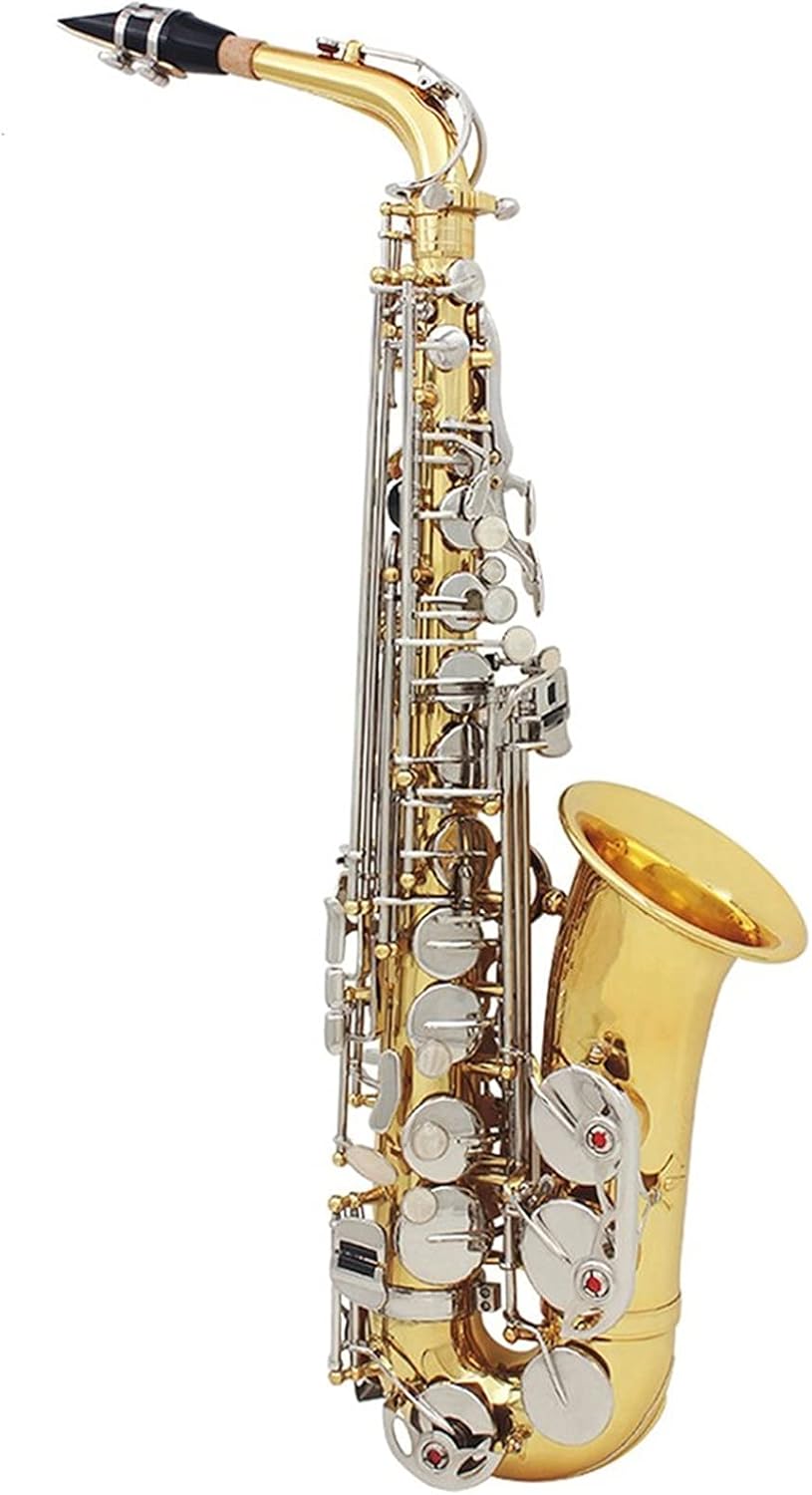 EB Alto Saxophone Lacquered Gold E- Flat Sax Brass Carved Pattern Woodwind Instrument with Case Accessories Student Saxophone (Color : Golden Sax)