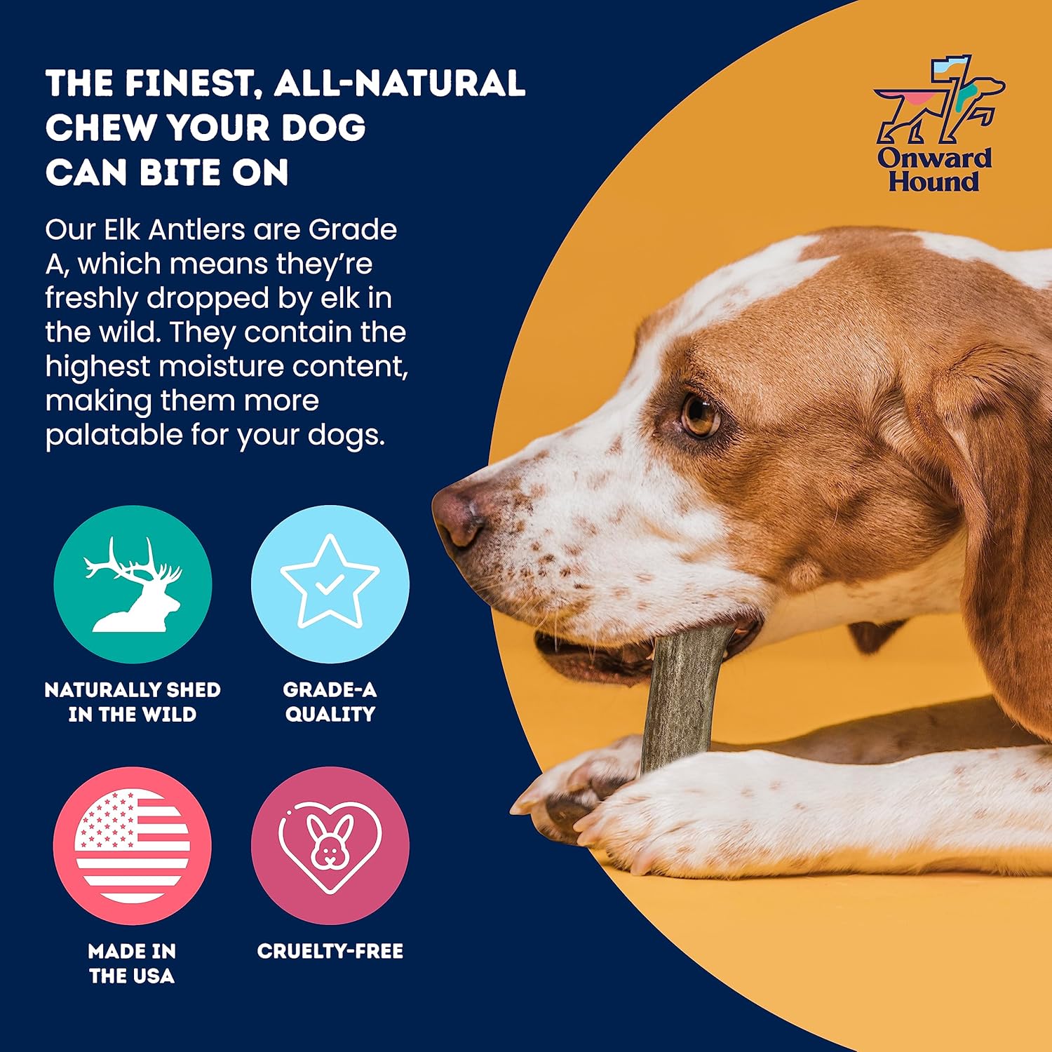 Onward Hound Elk Antlers for Dogs, 7