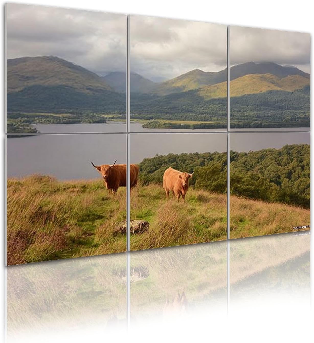 6 Pack Art Acoustic Panels Self Adhesive highland cattle above loch lomond mountain lake animals Decorative Soundproof Wall Panels Sound Absorbing Panel 48