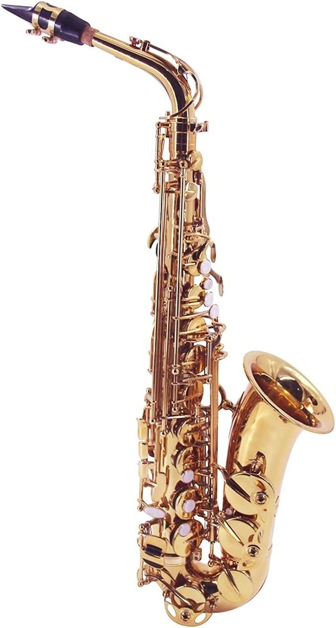 EB Alto Saxophone Sax Brass Lacquered Gold 802 Key Woodwind Instrument with Carrying Case Reed Cleaning Cloth Student Saxophone