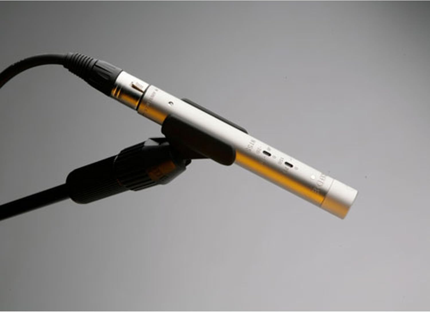 Rode NT55 Multi-Pattern Condenser Microphones, Matched Pair