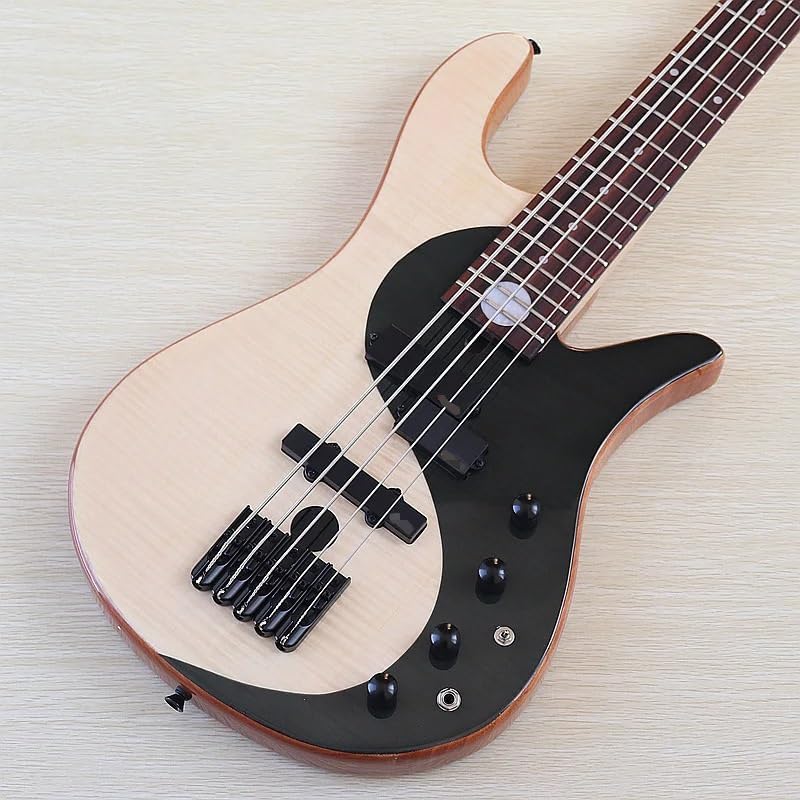 5-String Active Electric Bass Guitar, 43-Inch Full Size,Full Maple Neck, 24-Fret High Gloss Finish(M2 with fret)