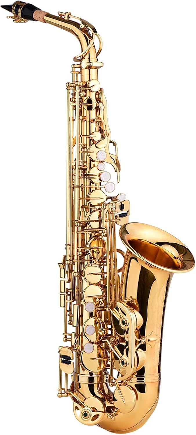 Sax Beginners Kit E Flat Alto Saxophone EB Key Brass Gold Lacquer with Hard Case Cleaning Brush Cloth Gloves Straps Saxophone Lanyard Wind Instrument