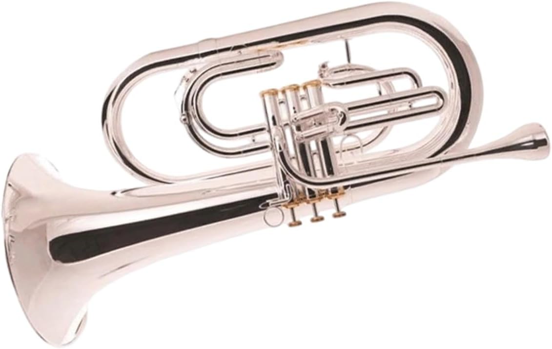Euphonium Is A Suitable Instrument For Beginners Adults And Professionals To Practice Playing Euphonium All-brass Instrument