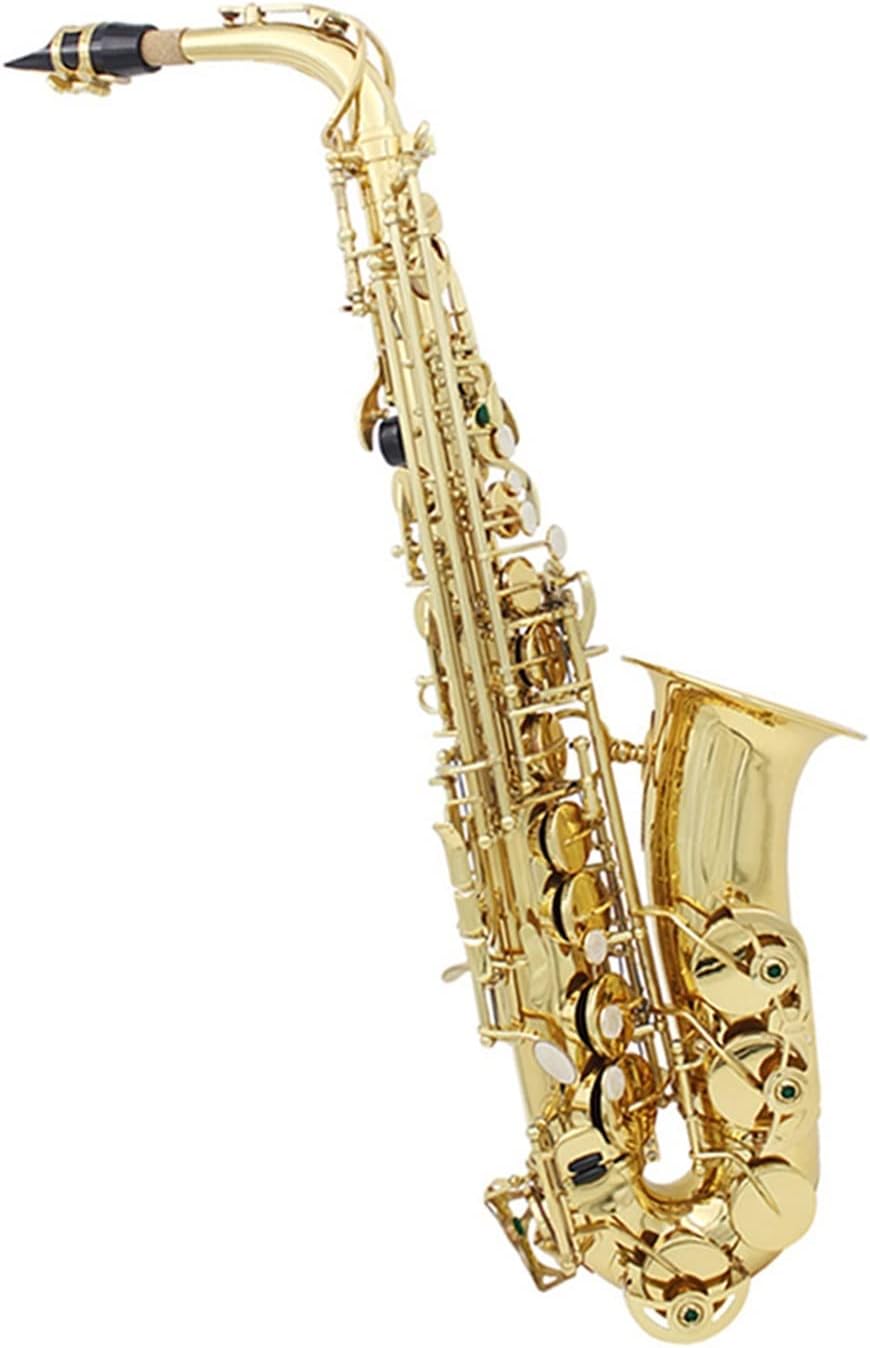 EB Alto Saxophone Brass Gold Lacquer E Flat Woodwind Musical Instrument with Case