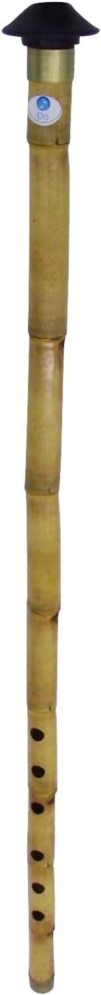 Turkish Reed, Bamboo Nay Nay Woodwind Flute with Protective carry Case (Broom (Re)= 58cm/23'')