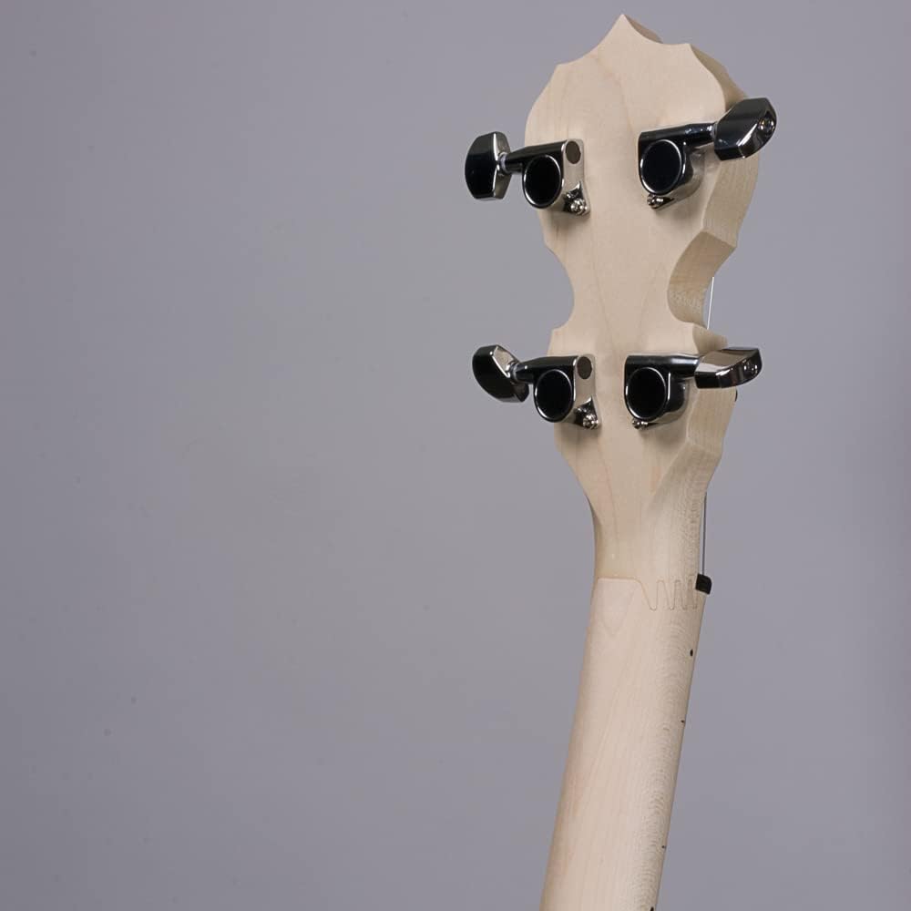 Deering Goodtime Special 5-String Banjo