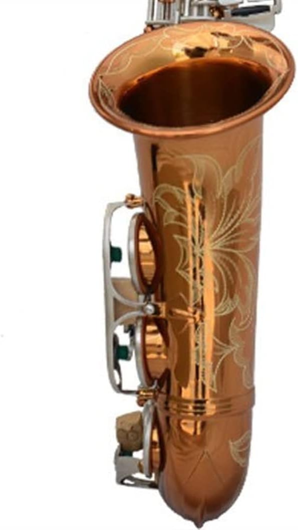 KESHUO E-Flat Alto Saxophone Retro Saxophone Wind Pipe Performance Instrument Beginners Entry-Level Professional Performance Brass Sax Beginners Kit